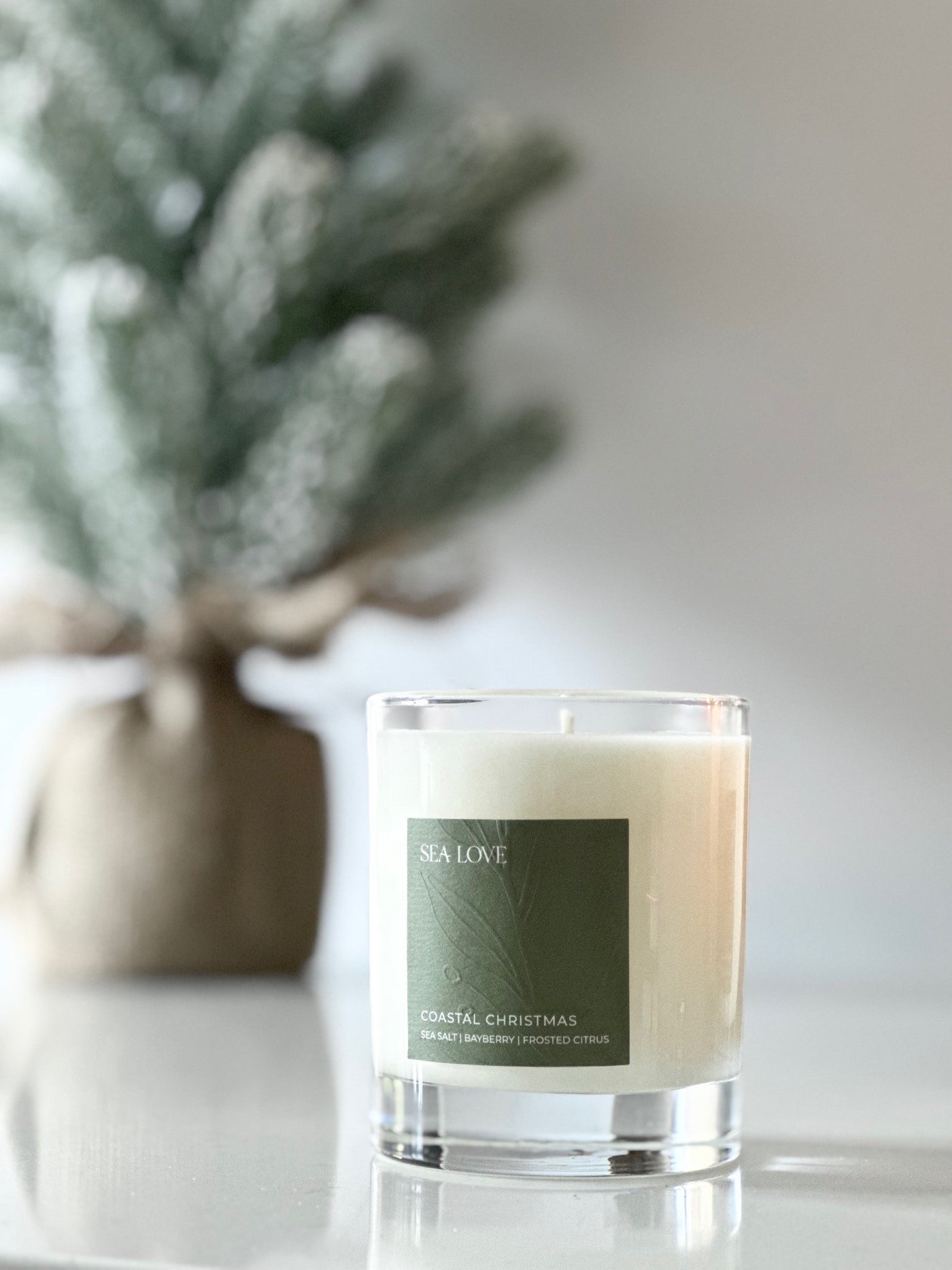COASTAL CHRISTMAS SOY CANDLE