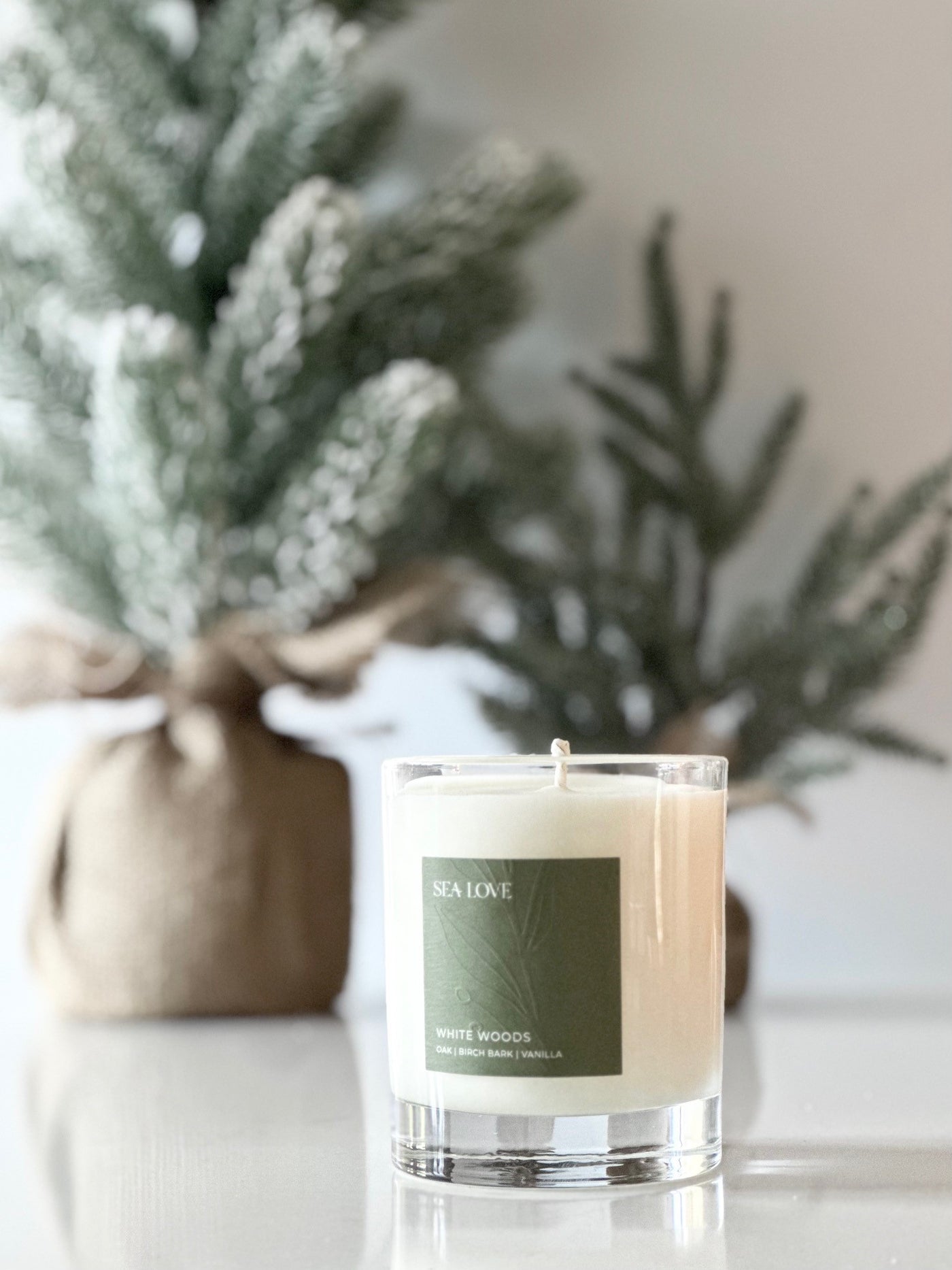 WHITE WOODS SOY CANDLE
